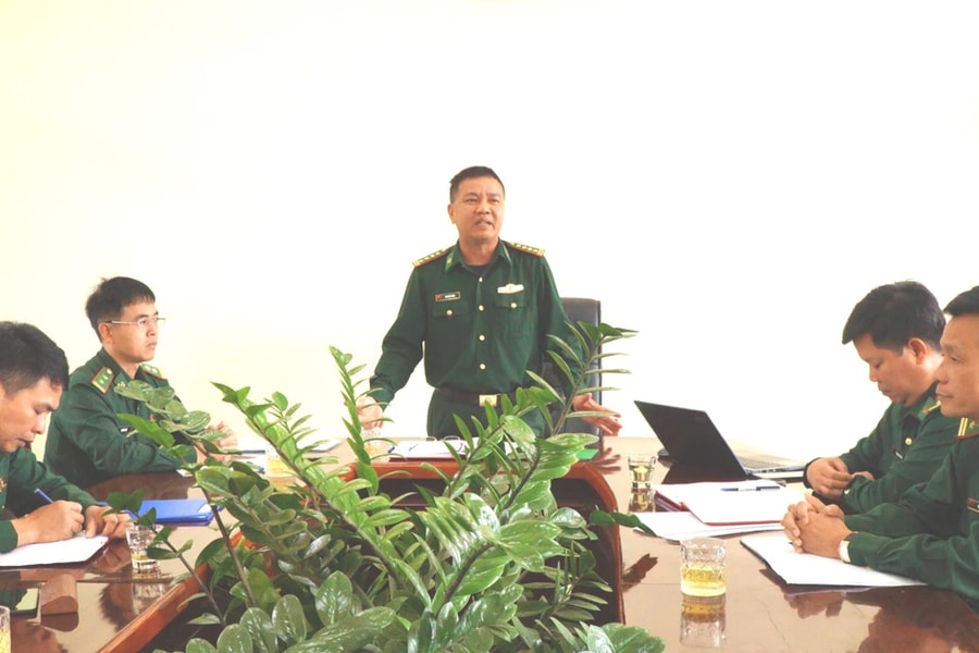 Thông tin mới nhất vụ gần 600 cây gỗ bị cắt hạ dọc đường tuần tra biên giới ở Đắk Nông