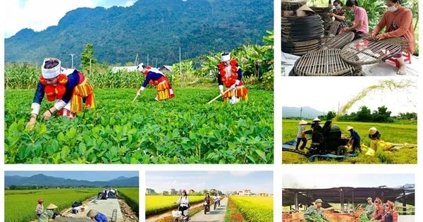 Thủ tướng ủy quyền 3 Bộ, cơ quan thông báo mục tiêu, nhiệm vụ năm 2025 của các chương trình mục tiêu quốc gia