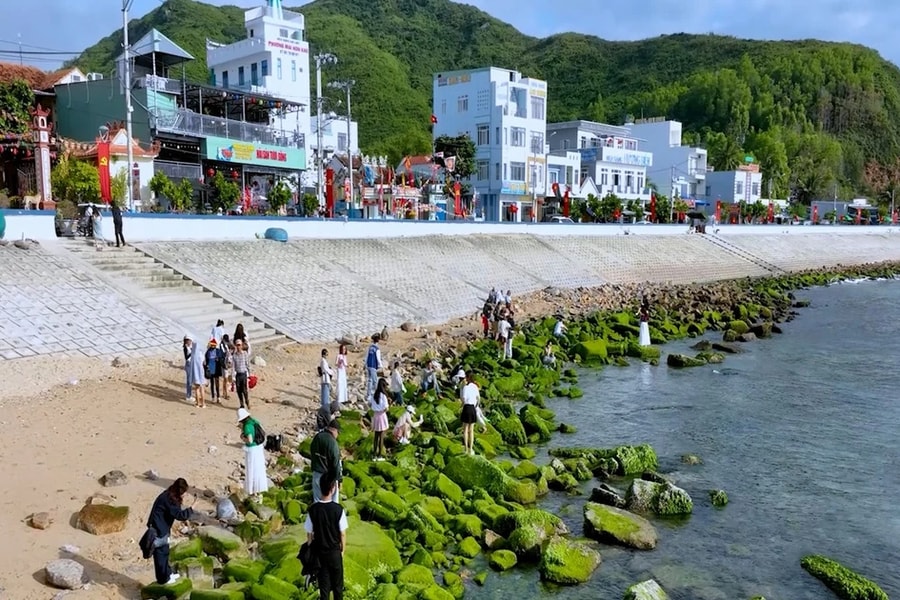 Du khách thích thú ngắm rêu xanh tại làng chài Nhơn Hải