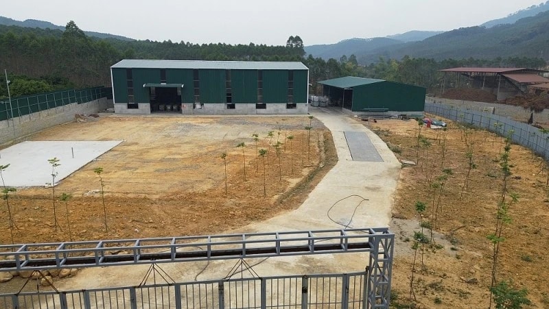 Bắc Giang: Công ty TNHH Đại Lục Phát xây dựng không phép, vi phạm pháp luật về môi trường