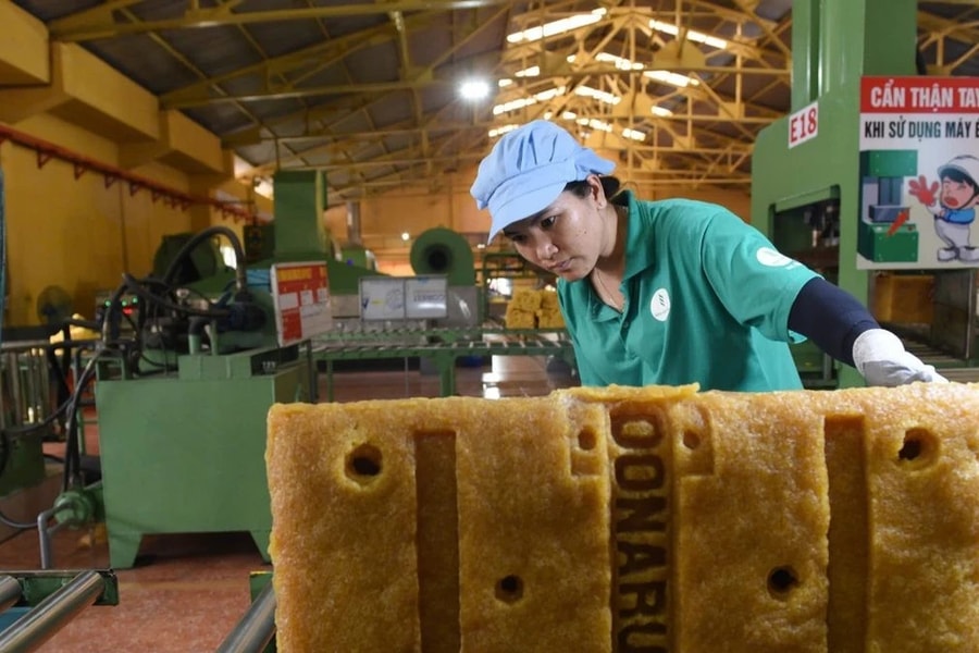 Tổng Công ty Cao su Đồng Nai chú trọng chuyển đổi số để nâng cao hiệu quả sản xuất kinh doanh