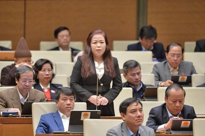 Xây dựng nghị định trong bối cảnh luật khung