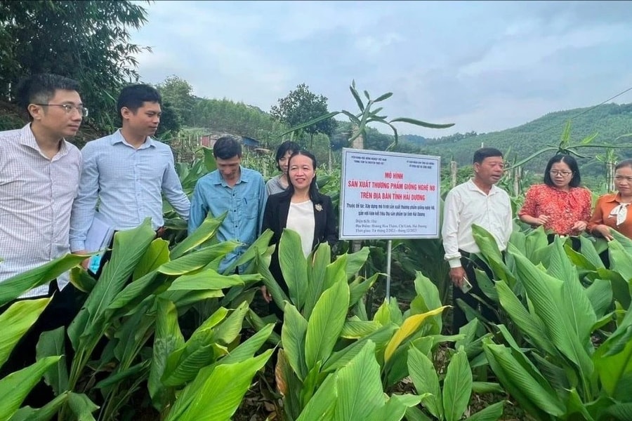 Bài 1: Tập trung chủ yếu lĩnh vực nông nghiệp, nông thôn