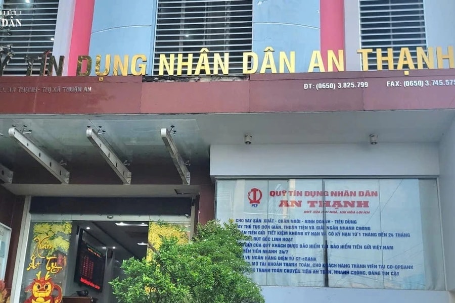 Bình Dương: Chủ tịch HĐQT Quỹ tín dụng Nhân dân An Thạnh chưa có bằng đại học theo quy định