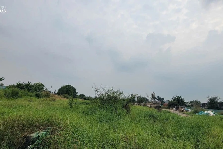 TP. Hồ Chí Minh: Kiến nghị xử lý vi phạm để trống, bỏ hoang đất khi được Nhà nước giao, cho thuê