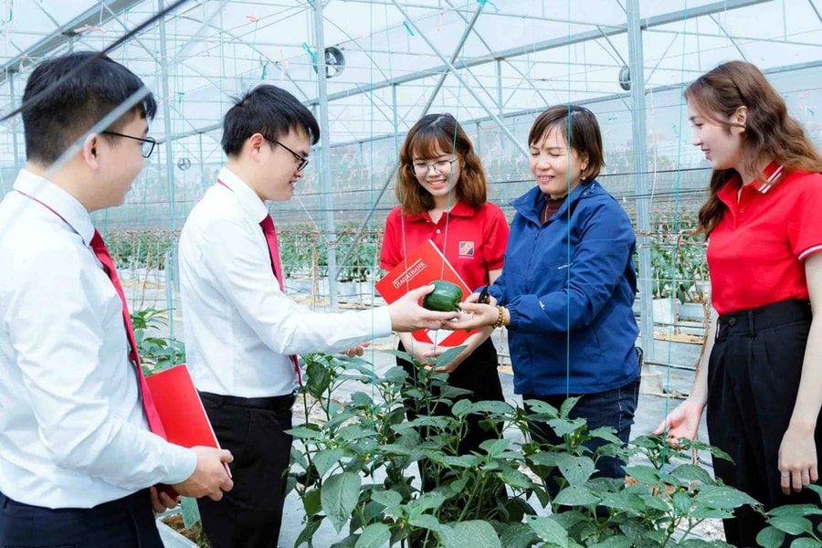 Hướng tới "Tam nông xanh"