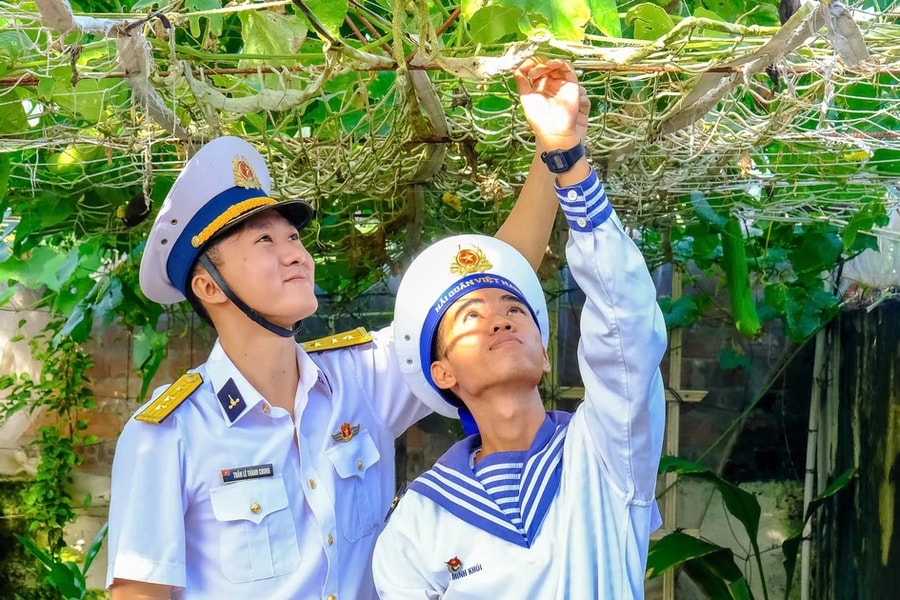 Đã trồng 90.000 cây xanh trên quần đảo Trường Sa