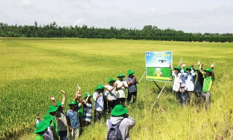 PVFCCo đưa công nghệ mới vào sản xuất nông nghiệp