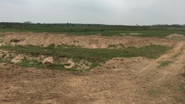 Đất nông nghiệp không sử dụng bị thu hồi có được bồi thường đất không?