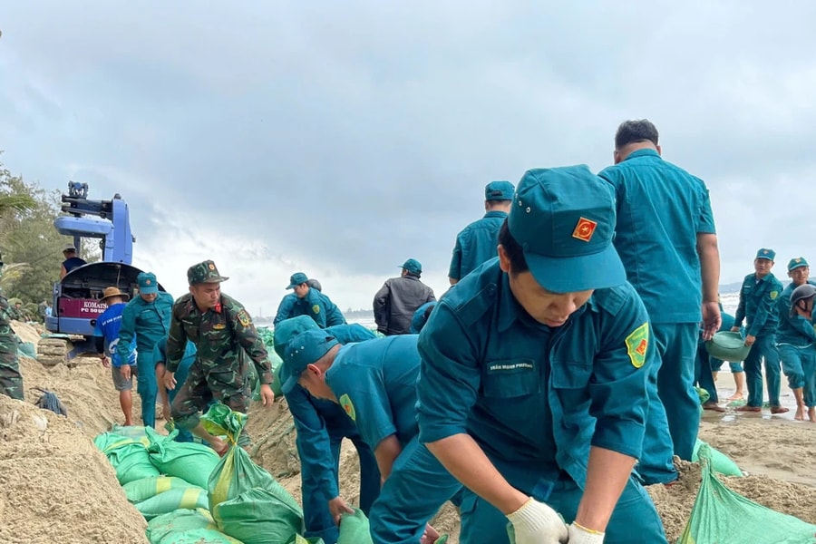 Quảng Ngãi: Huy động hàng trăm người gia cố khẩn cấp bờ biển Mỹ Khê