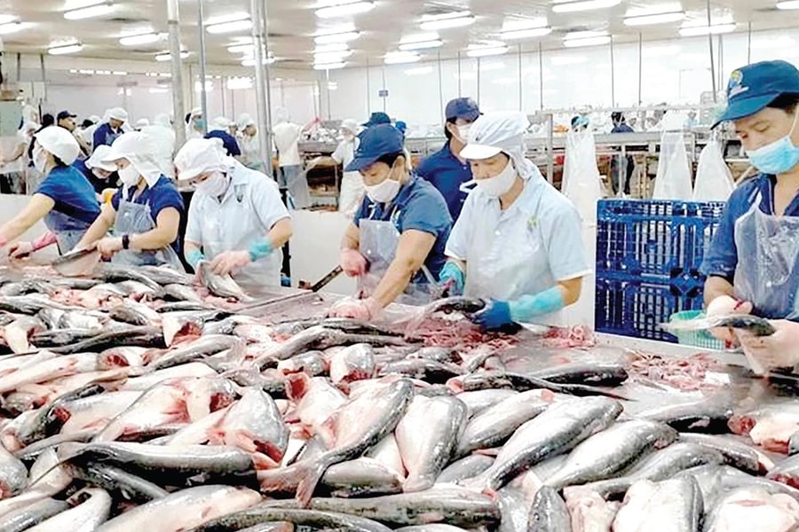 Xuất khẩu cá tra trước cơ hội từ thị trường mới