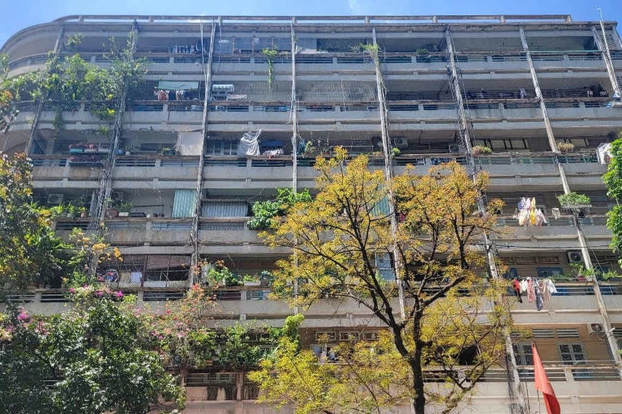 TP. Hồ Chí Minh: Cải tạo, xây dựng lại 474 chung cư cũ bị hư hỏng, xuống cấp