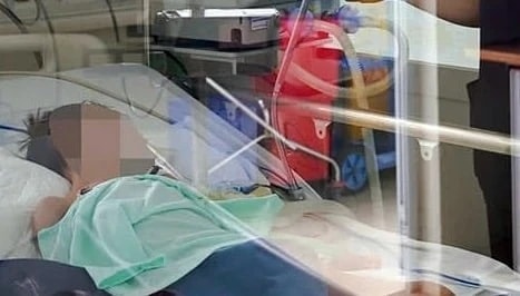 Bé mắc viêm não do nhiễm vi rút dại từ chó nhà