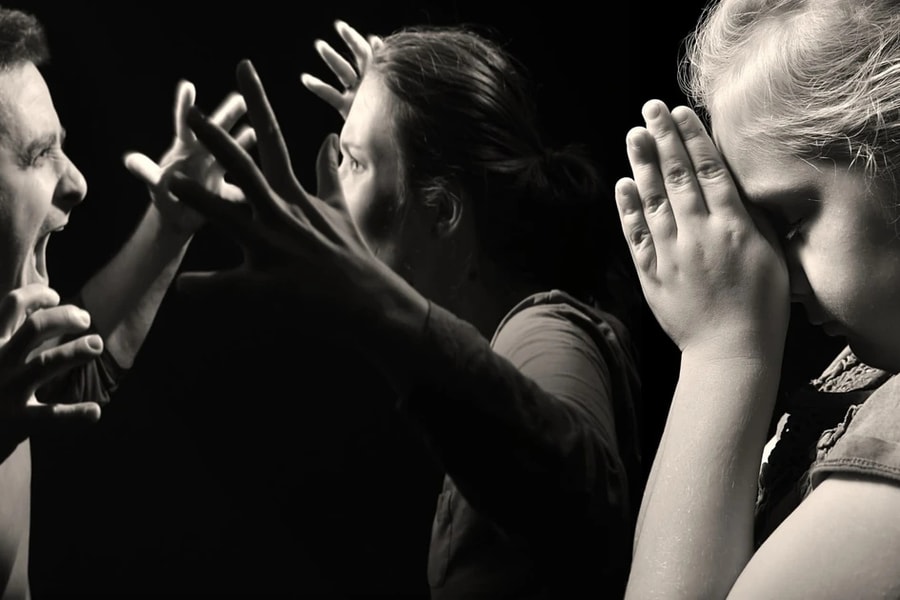 Thượng viện CH Czech thông qua thông qua định nghĩa pháp lý mới về bạo lực gia đình