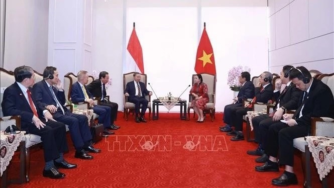 Tổng Bí thư Tô Lâm hội kiến với Chủ tịch Hội đồng Đại biểu nhân dân Indonesia