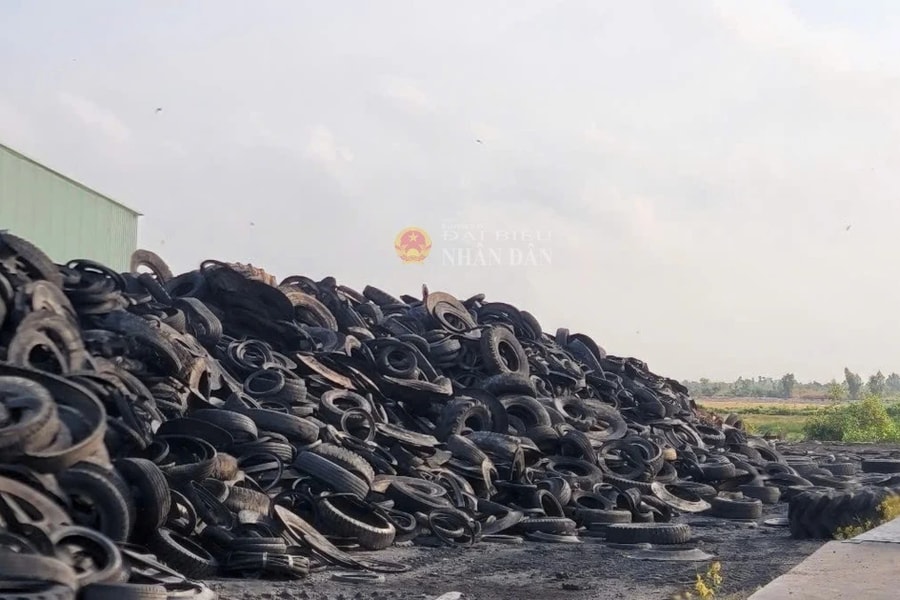 Long An: Công ty TNHH Xử lý môi trường Đẹp Việt Nam vi phạm nghiêm trọng về môi trường và sử dụng đất 