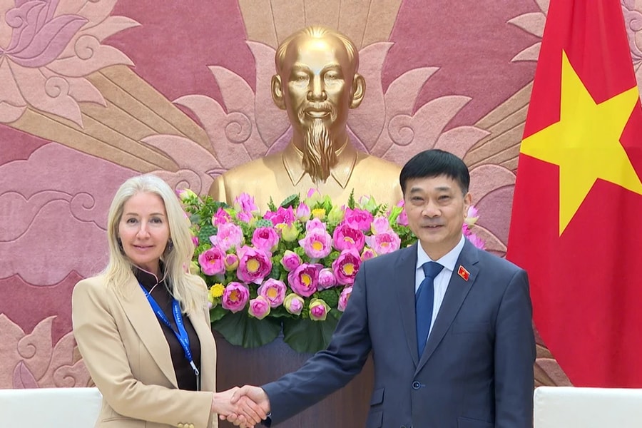 Phó Chủ tịch Quốc hội Vũ Hồng Thanh tiếp lãnh đạo Tập đoàn Ford Motor