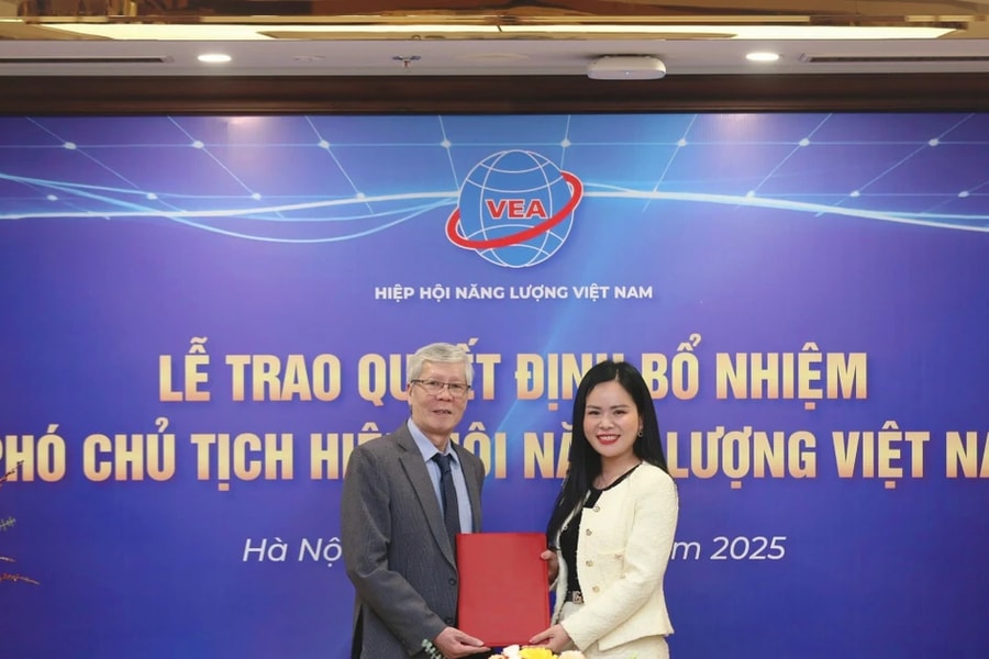 Lãnh đạo cấp cao T&T Group làm Phó Chủ tịch Hiệp hội Năng lượng Việt Nam