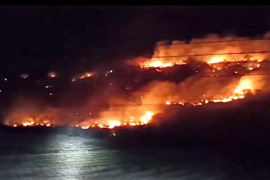 Bình Thuận: Cháy lớn trên núi Tàu nghi do người dân vứt tàn thuốc lá