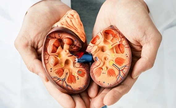 Tổn thương thận cấp có cơ hội phục hồi cao nếu phát hiện sớm