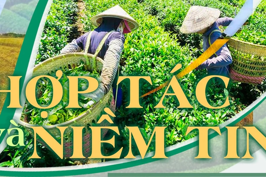 Hợp tác và niềm tin