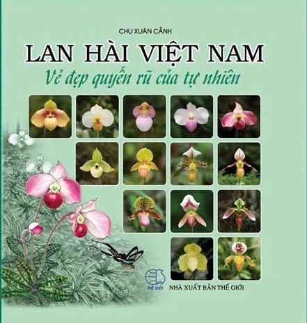 Đón đợi chương trình ra mắt sách "Lan hài Việt Nam - Vẻ đẹp quyến rũ của tự nhiên"