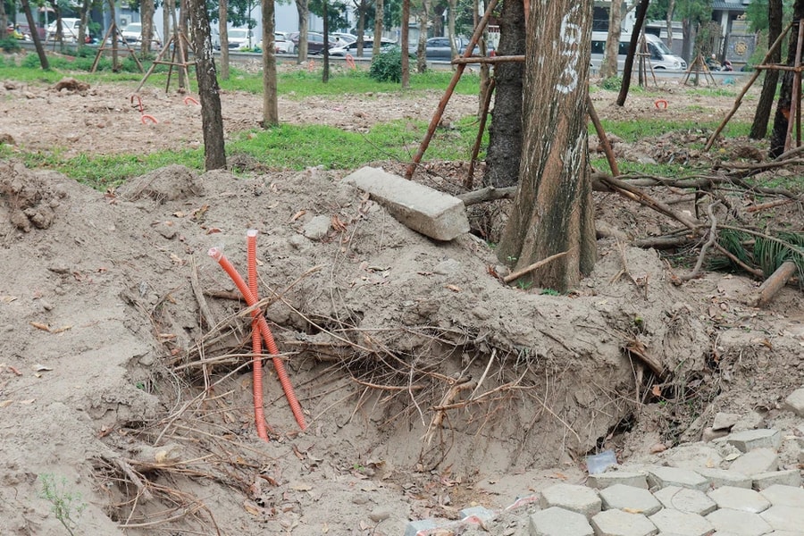 Liên danh Môi trường Hà Nội và Xây dựng Hà Thành trúng thầu cải tạo công viên Cầu Giấy, tỷ lệ tiết kiệm ở mức 0,3%