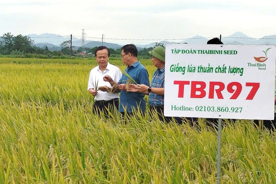 “Ba cùng” với nông dân xây dựng mô hình IPHM