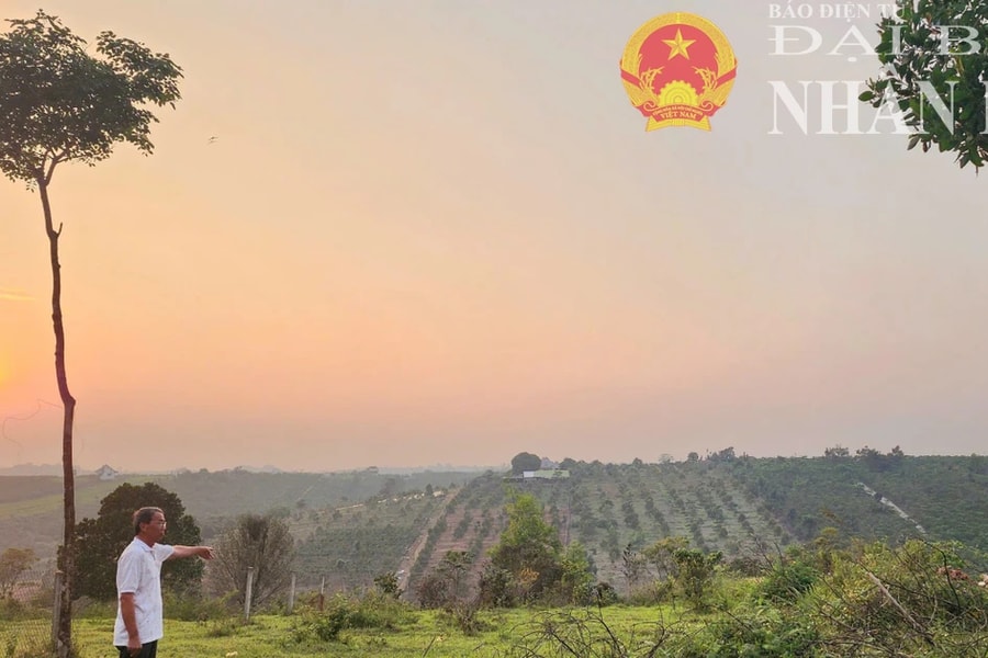 Lâm Đồng: Tranh chấp đất đã mua bán từ 20 năm trước vì diện tích trên “sổ đỏ” khác thực tế