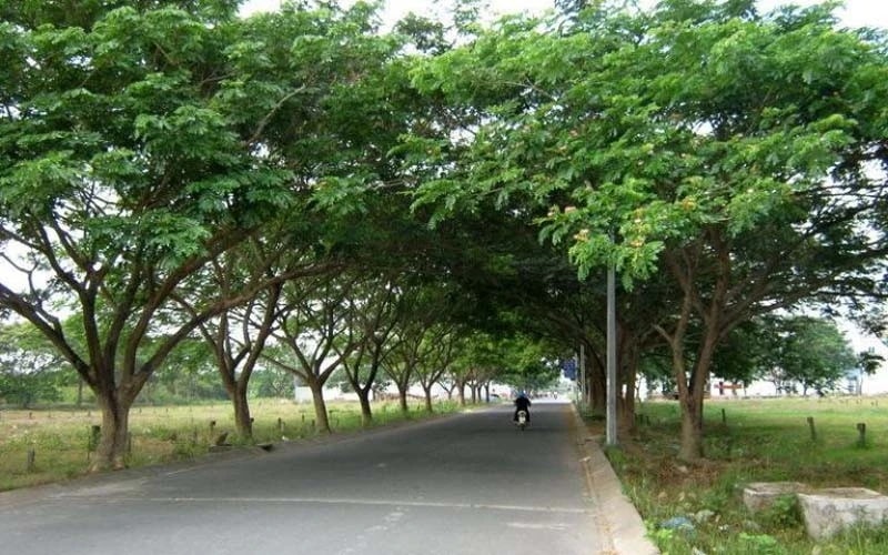 Quảng Bình: Khởi tố 22 bị can liên quan đến Công ty cây xanh Công Minh 