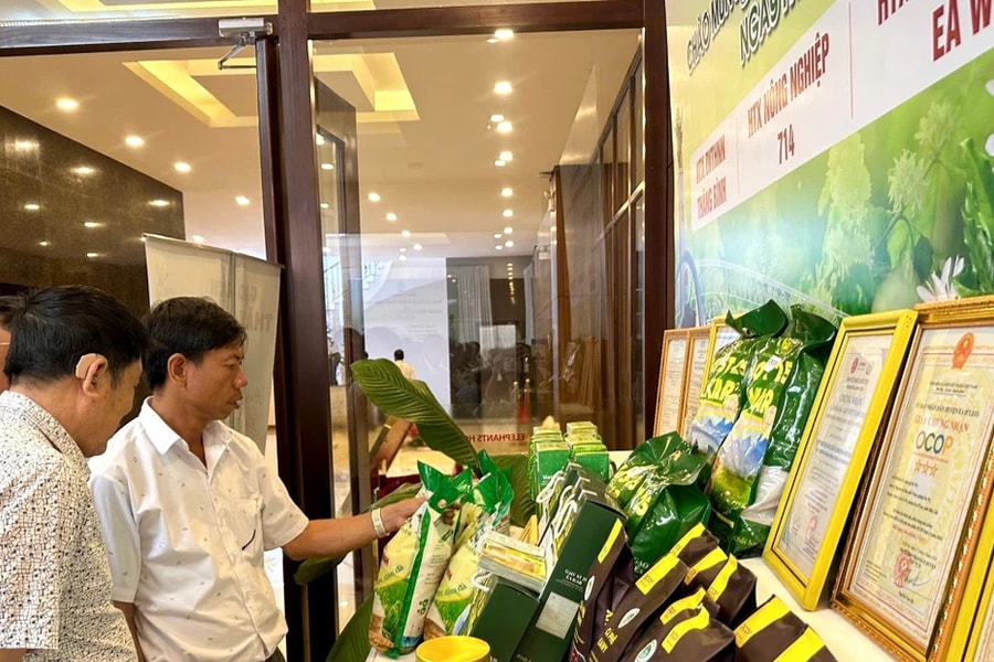 Phát huy vai trò nòng cốt của kinh tế tập thể trong phát triển bền vững