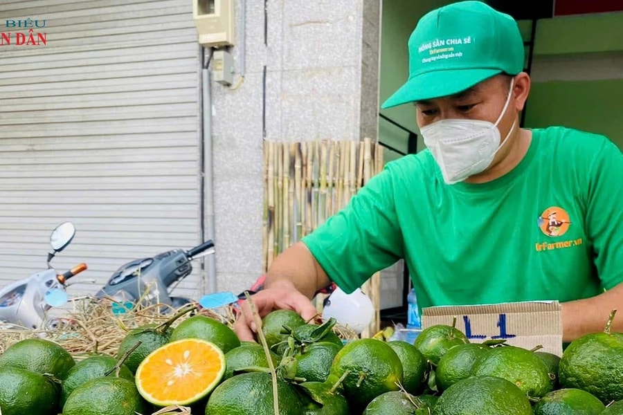 Cam xanh nghĩa tình - Mô hình nông nghiệp sẻ chia