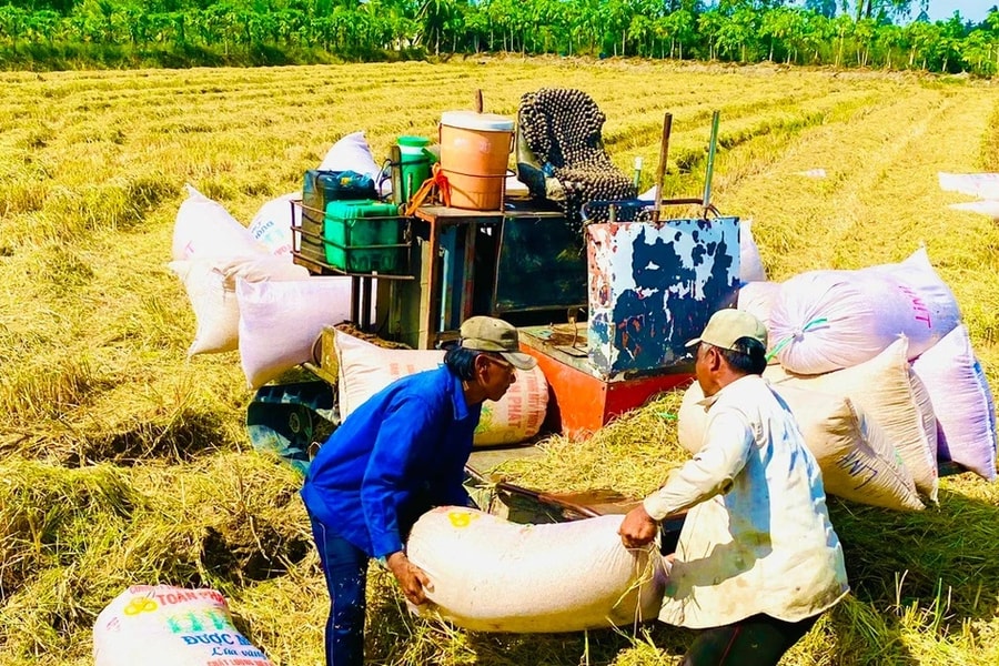 Cánh cửa mới của tăng trưởng xanh