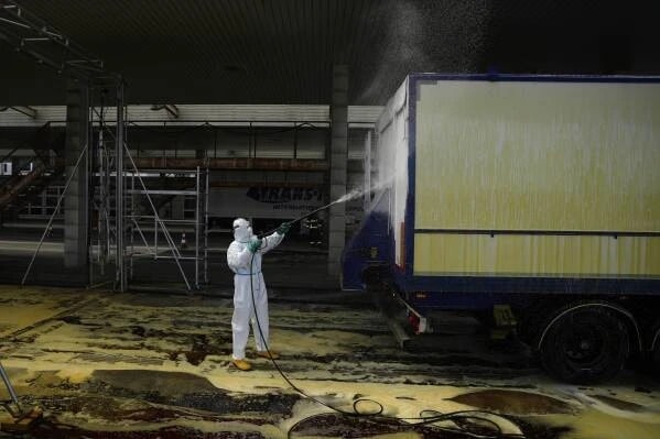 Các quốc gia tại Châu Âu nỗ lực ngăn chặn dịch lở mồm long móng