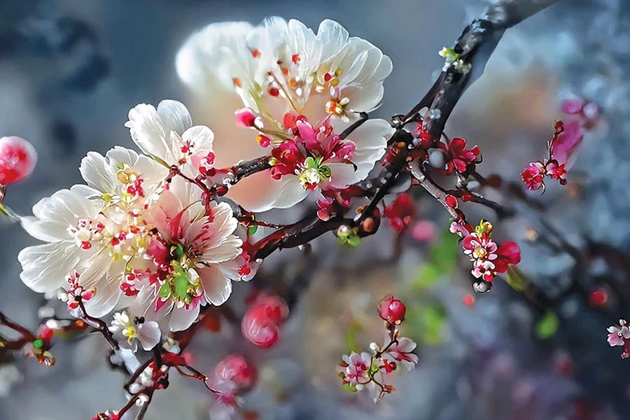 Hỏi - Đáp chính sách