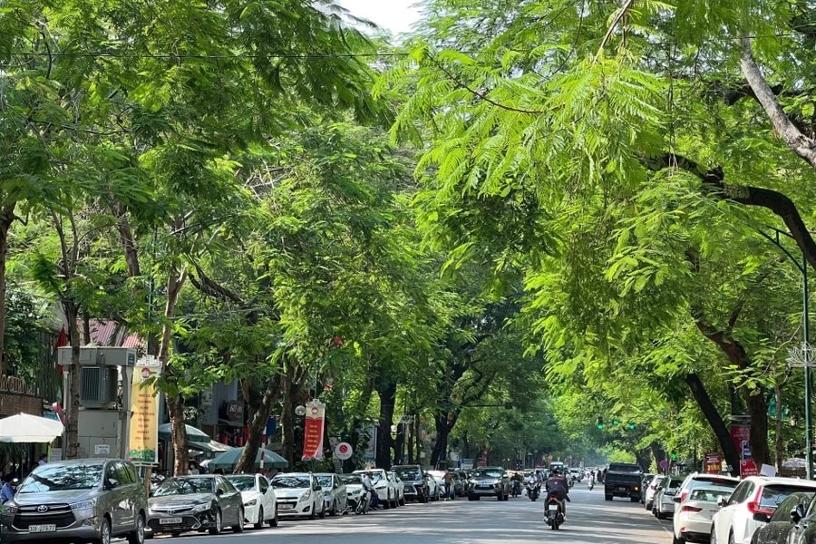 Dự báo thời tiết ngày 15.4: Bắc bộ tăng nhiệt, Nam bộ có mưa dông về đêm