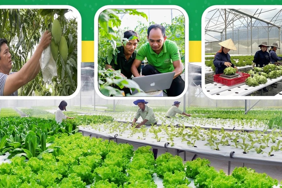 Động lực hành vi trong hành trình chuyển mình của Việt Nam