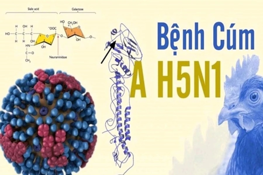 TP. Hồ Chí Minh: Phát hiện ca viêm não do virut cúm gia cầm H5N1