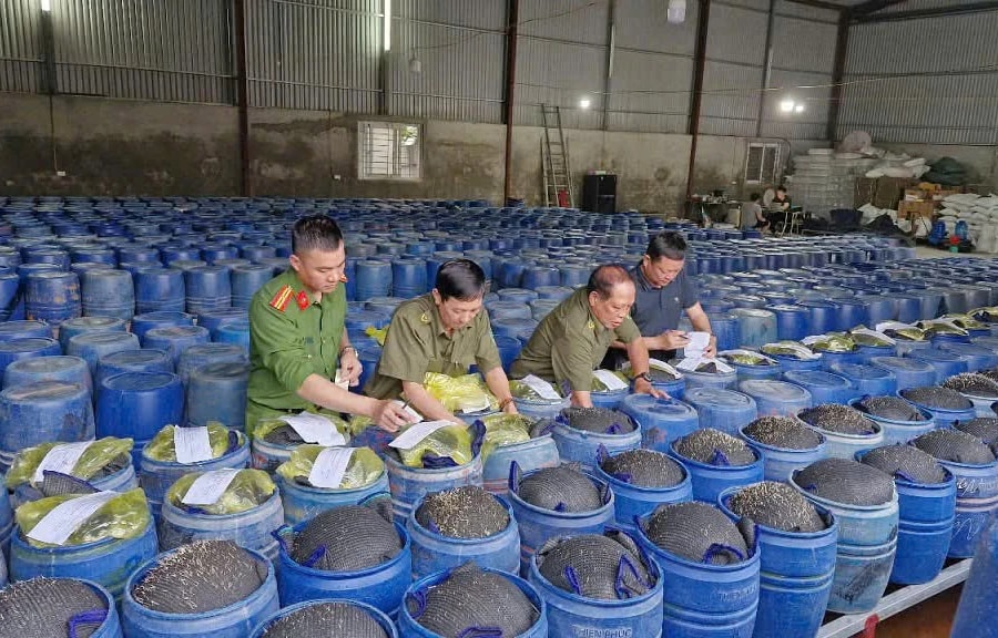 Nghệ An: Bắt 4 đối tượng làm giá đỗ ngâm hóa chất cấm