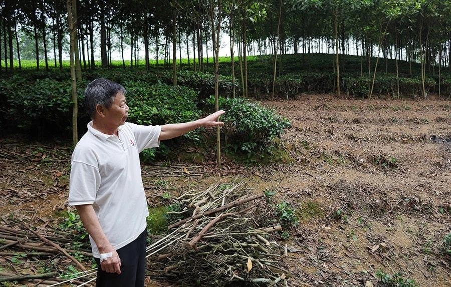 Người dân đồng thuận nhường đất