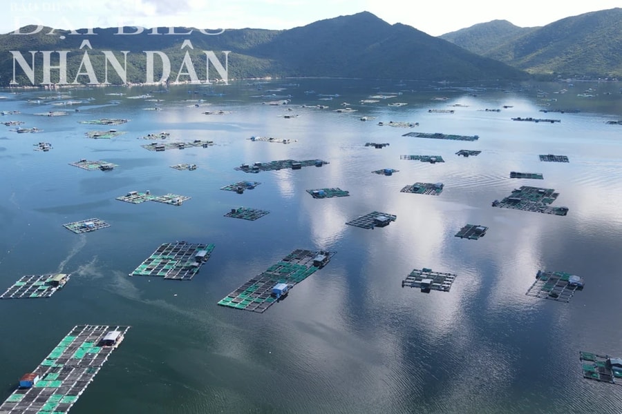 Khánh Hòa tăng cường quản lý hoạt động nuôi trồng thủy sản