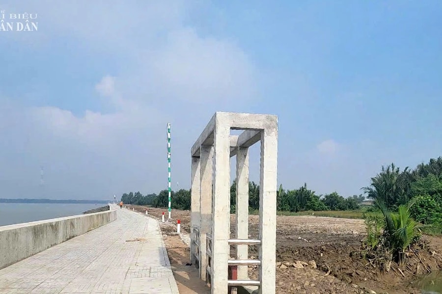 TP. Hồ Chí Minh: Thi công tuyến đê vận chuyển muối tại Cần Giờ, 80 điểm tim tuyến bị lệch 