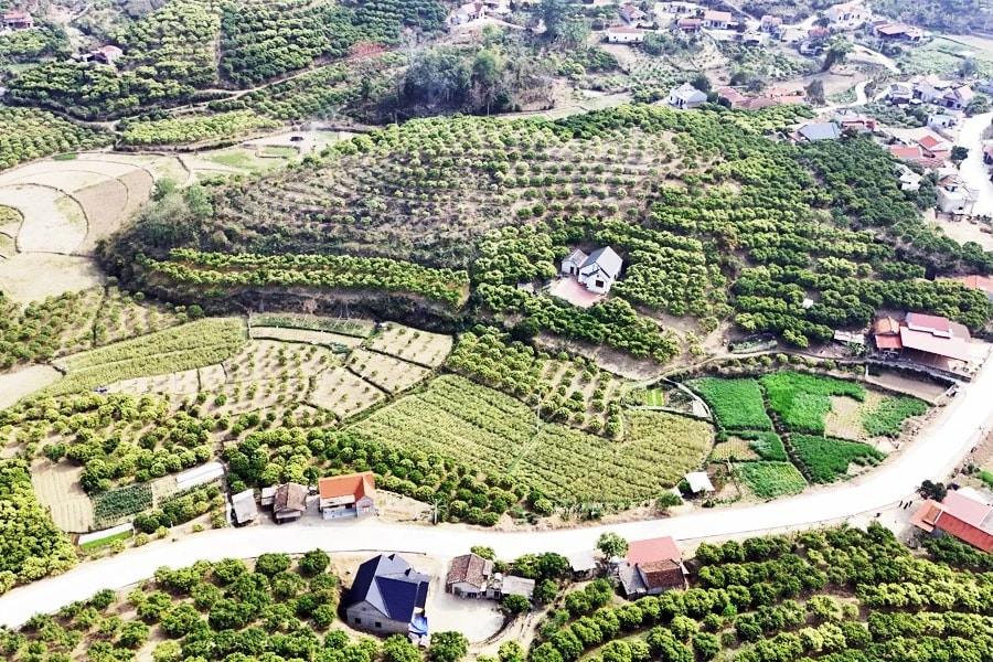 Bắc Giang: Giám sát chặt chẽ dự án Khu dân cư Tân Sơn của Công ty Cổ phần Đầu tư và Xây dựng Tân Phát