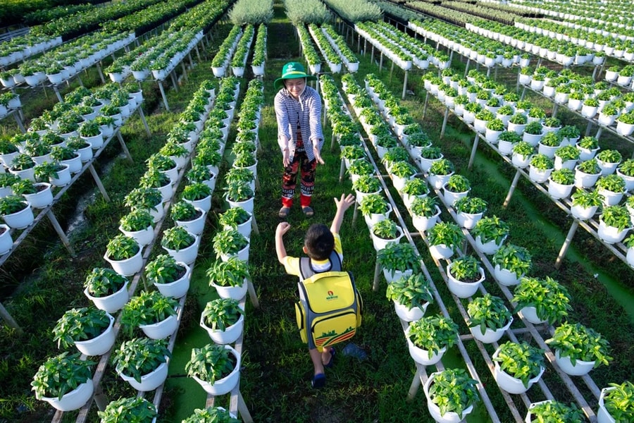 PVCFC khẳng định vị thế tiên phong trong minh bạch và quản trị ESG