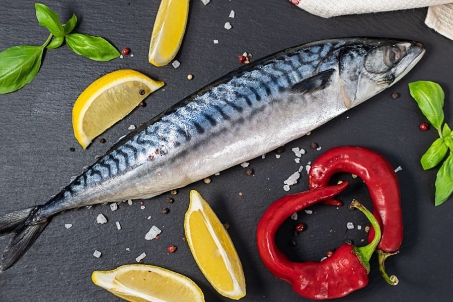 Những lợi ích dinh dưỡng tuyệt vời của cá thu