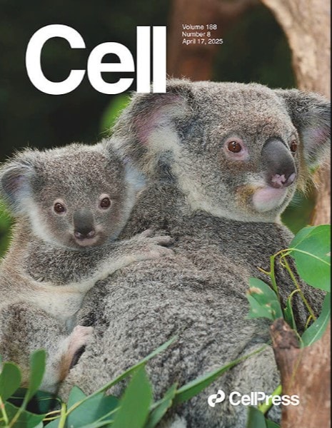 Khoa học Việt Nam ghi dấu ấn trên tạp chí Cell với nghiên cứu về loài Sao la – “Kỳ lân châu Á”