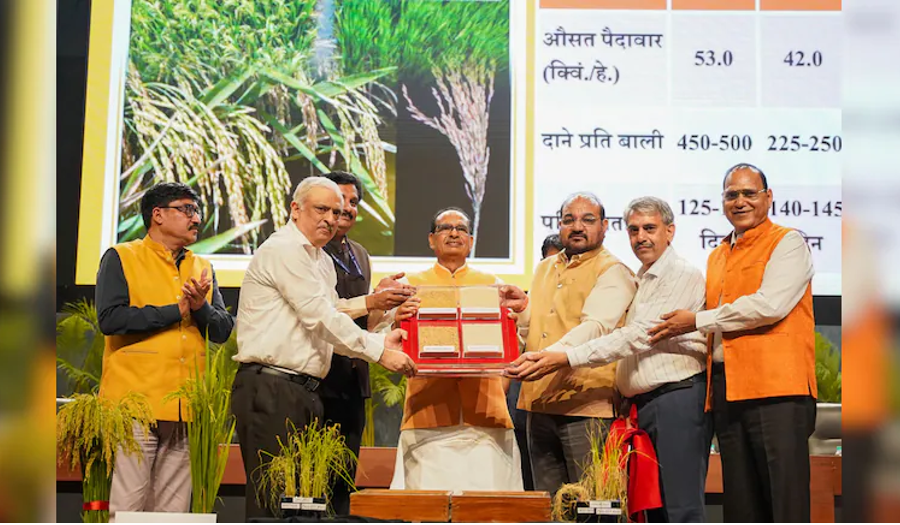 Ấn Độ công bố hai giống lúa chỉnh sửa gen đầu tiên trên thế giới