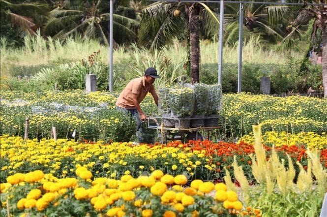 Hỗ trợ 30% chi phí cho nhân rộng mô hình nông nghiệp hiệu quả cao