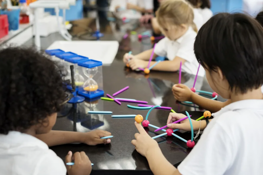 New Zealand chi 100 triệu USD giúp học sinh cải thiện môn Toán