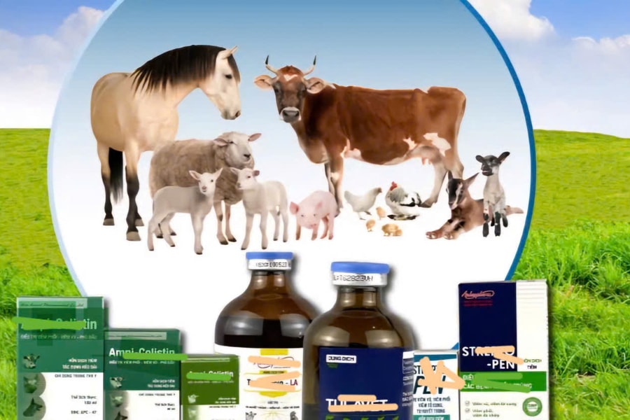 Tiền Giang: Phát hiện 2 hộ kinh doanh buôn bán thuốc thú y, thủy sản không đạt chất lượng